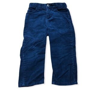 Calvin Klein Jeans Blue Corduroy Pants Size 2